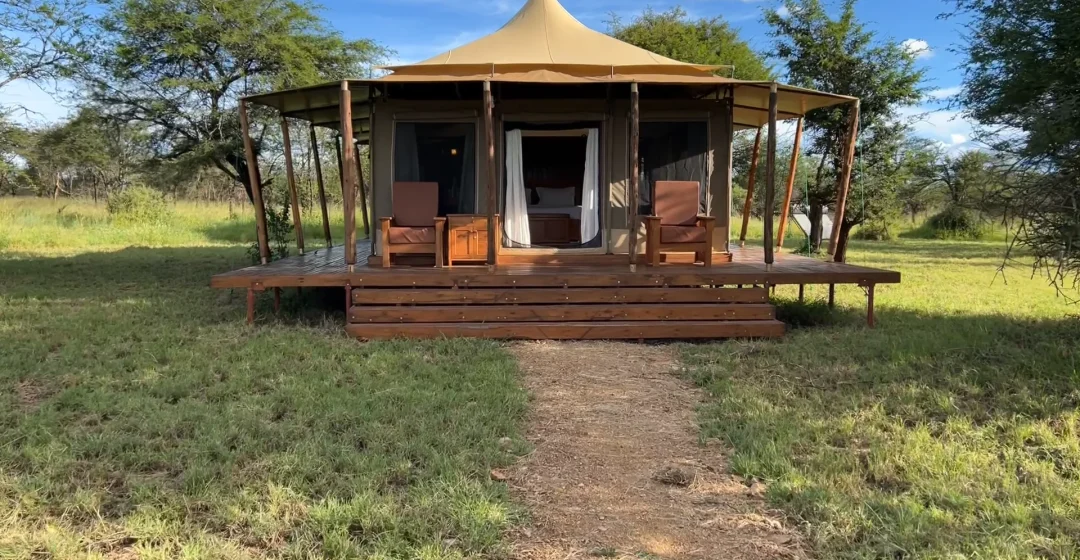 Tanzania Safari Cost